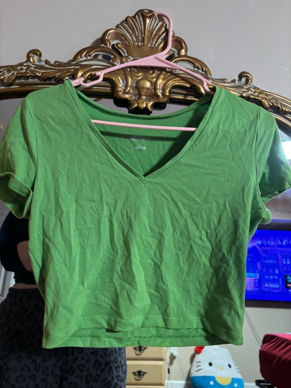 wild fable Green V-Neck Crop Top